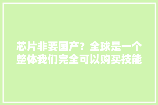 芯片非要国产？全球是一个整体我们完全可以购买技能和产品