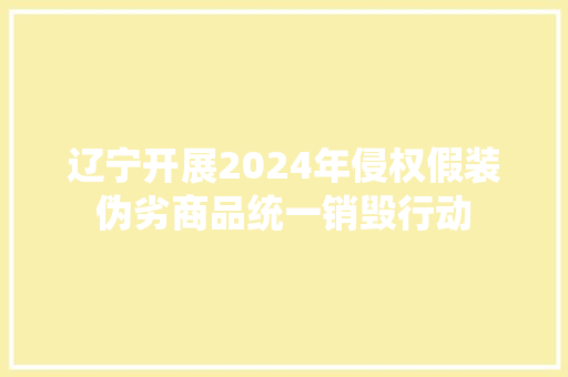 辽宁开展2024年侵权假装伪劣商品统一销毁行动