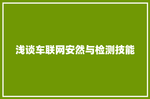 浅谈车联网安然与检测技能 浅谈车联网安然与检测技能 人工智能