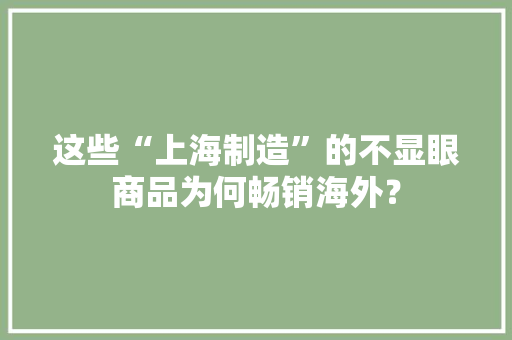 这些“上海制造”的不显眼商品为何畅销海外？
