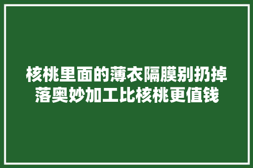 核桃里面的薄衣隔膜别扔掉落奥妙加工比核桃更值钱
