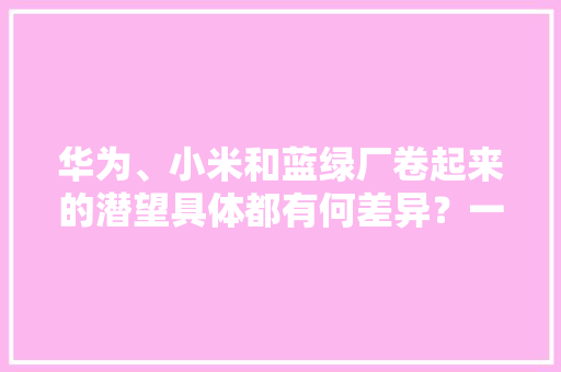华为、小米和蓝绿厂卷起来的潜望具体都有何差异？一文轻松看懂 华为、小米和蓝绿厂卷起来的潜望具体都有何差异？一文轻松看懂 互联通信
