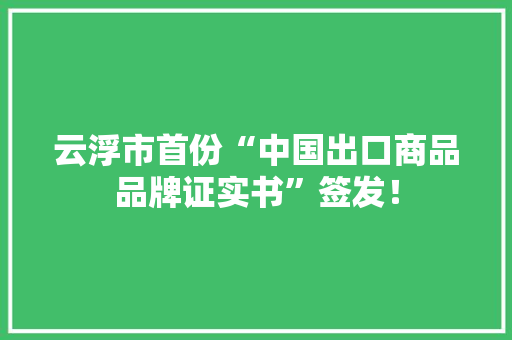 云浮市首份“中国出口商品品牌证实书”签发！