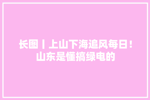 长图丨上山下海追风每日！山东是懂搞绿电的 长图丨上山下海追风每日！山东是懂搞绿电的 智能科技