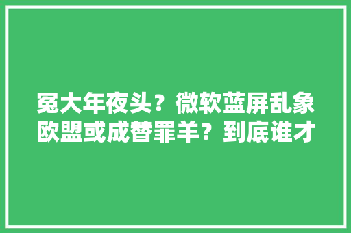 冤大年夜头？微软蓝屏乱象欧盟或成替罪羊？到底谁才是祸首祸首？ 冤大年夜头？微软蓝屏乱象欧盟或成替罪羊？到底谁才是祸首祸首？ 互联通信