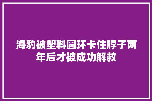 海豹被塑料圆环卡住脖子两年后才被成功解救 海豹被塑料圆环卡住脖子两年后才被成功解救 互联通信