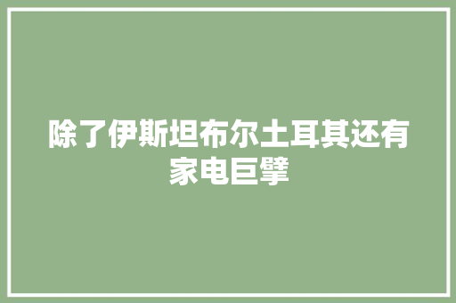 除了伊斯坦布尔土耳其还有家电巨擘