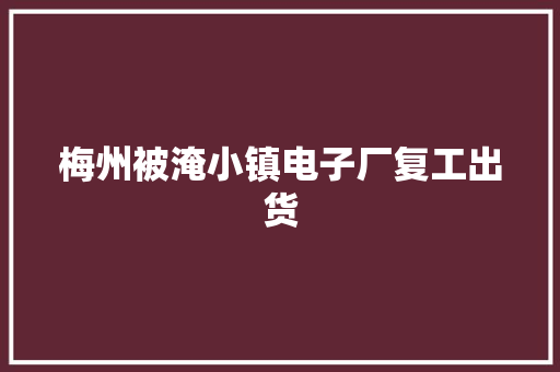 梅州被淹小镇电子厂复工出货 梅州被淹小镇电子厂复工出货 智能家居