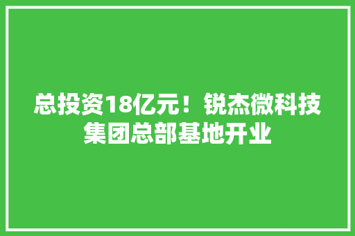 总投资18亿元！锐杰微科技集团总部基地开业