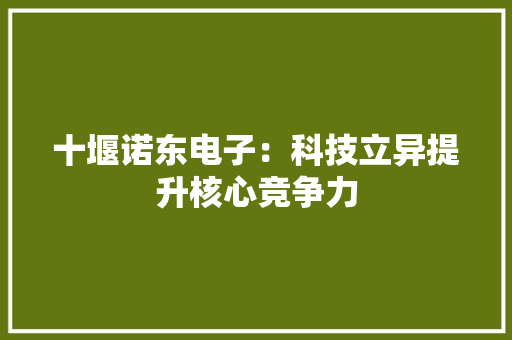 十堰诺东电子：科技立异提升核心竞争力 十堰诺东电子：科技立异提升核心竞争力 互联通信