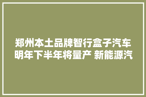 郑州本土品牌智行盒子汽车明年下半年将量产 新能源汽车家当 河南正酿“大年夜棋”