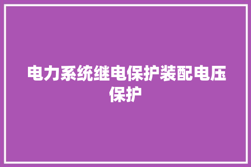 电力系统继电保护装配电压保护