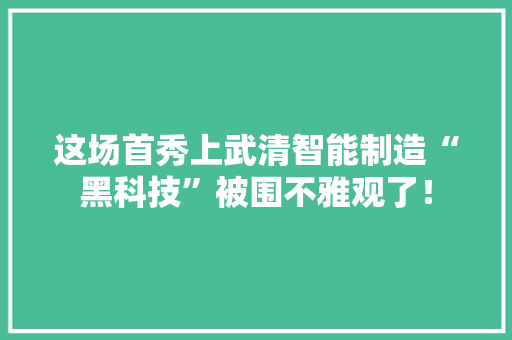 这场首秀上武清智能制造“黑科技”被围不雅观了！