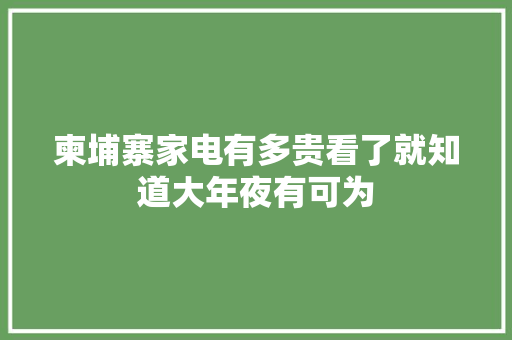 柬埔寨家电有多贵看了就知道大年夜有可为