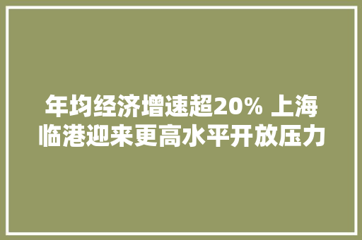 年均经济增速超20% 上海临港迎来更高水平开放压力测试
