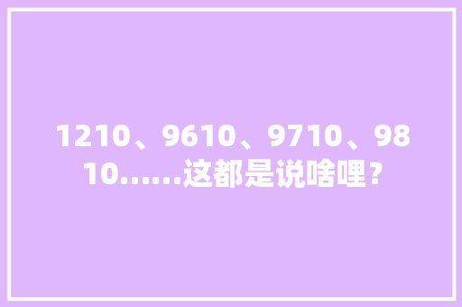 1210、9610、9710、9810……这都是说啥哩？