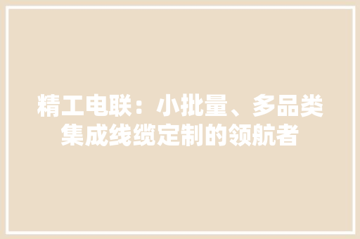 精工电联：小批量、多品类集成线缆定制的领航者
