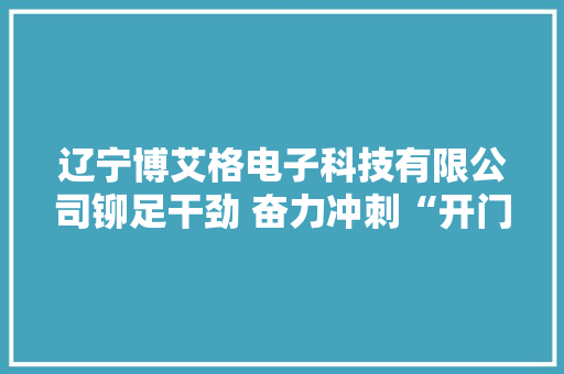 辽宁博艾格电子科技有限公司铆足干劲 奋力冲刺“开门红”
