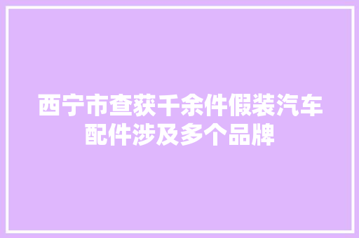 西宁市查获千余件假装汽车配件涉及多个品牌 西宁市查获千余件假装汽车配件涉及多个品牌 智能家居