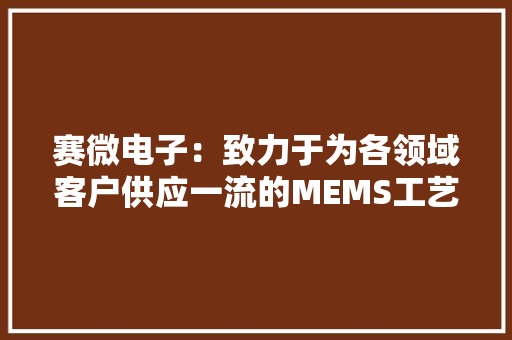 赛微电子：致力于为各领域客户供应一流的MEMS工艺开拓及晶圆制造做事