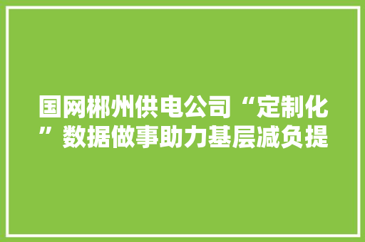 国网郴州供电公司“定制化”数据做事助力基层减负提效