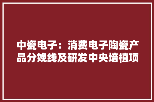 中瓷电子：消费电子陶瓷产品分娩线及研发中央培植项目估量岁尾投产年产量将达44.05亿只