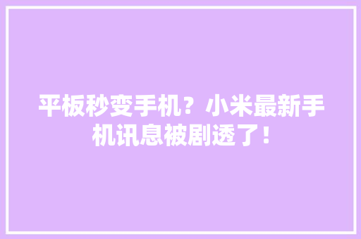 平板秒变手机？小米最新手机讯息被剧透了！
