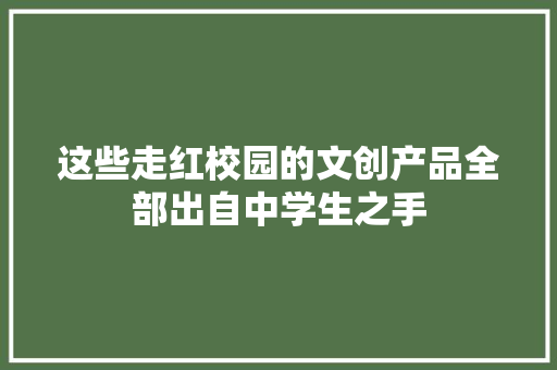 这些走红校园的文创产品全部出自中学生之手 这些走红校园的文创产品全部出自中学生之手 智能科技