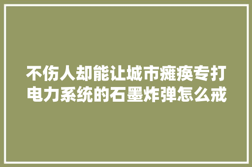 不伤人却能让城市瘫痪专打电力系统的石墨炸弹怎么戒备？ 不伤人却能让城市瘫痪专打电力系统的石墨炸弹怎么戒备？ 人工智能
