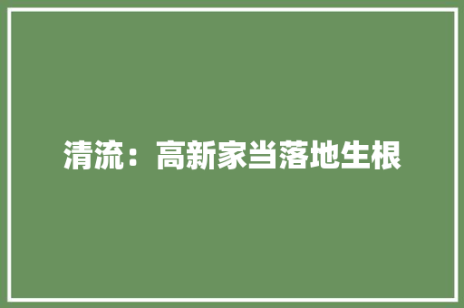 清流：高新家当落地生根 清流：高新家当落地生根 智能家居