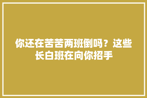 你还在苦苦两班倒吗？这些长白班在向你招手 你还在苦苦两班倒吗？这些长白班在向你招手 人工智能