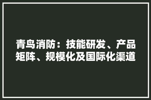 青鸟消防：技能研发、产品矩阵、规模化及国际化渠道构造 青鸟消防：技能研发、产品矩阵、规模化及国际化渠道构造 人工智能