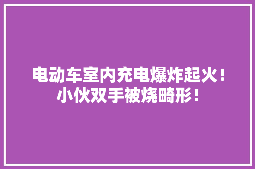 电动车室内充电爆炸起火！小伙双手被烧畸形！ 电动车室内充电爆炸起火！小伙双手被烧畸形！ 人工智能