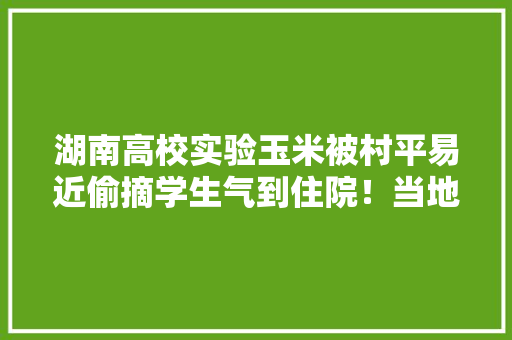 湖南高校实验玉米被村平易近偷摘学生气到住院！当地正动员村平易近交回 湖南高校实验玉米被村平易近偷摘学生气到住院！当地正动员村平易近交回 人工智能