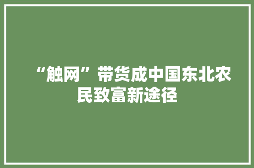 “触网”带货成中国东北农民致富新途径
