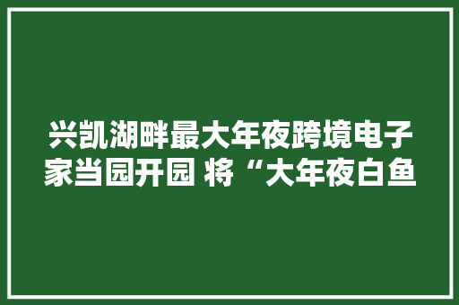 兴凯湖畔最大年夜跨境电子家当园开园 将“大年夜白鱼”卖到中国