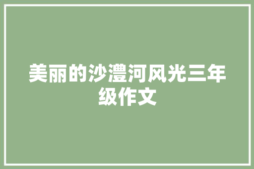 从苹果11到X100Pro手机进级之后我反而后悔了