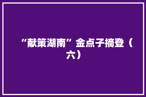 “献策湖南”金点子摘登（六） “献策湖南”金点子摘登（六） 互联通信