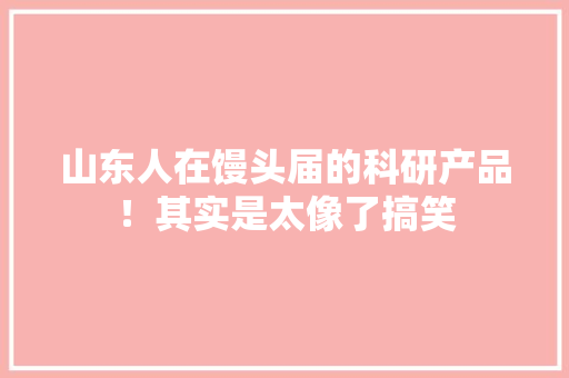 山东人在馒头届的科研产品！其实是太像了搞笑 山东人在馒头届的科研产品！其实是太像了搞笑 智能科技