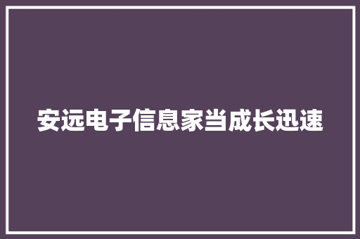 安远电子信息家当成长迅速 安远电子信息家当成长迅速 智能家居