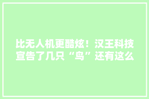 比无人机更酷炫！汉王科技宣告了几只“鸟”还有这么多智能新品