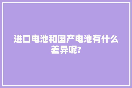 进口电池和国产电池有什么差异呢?