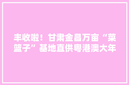 丰收啦！甘肃金昌万亩“菜篮子”基地直供粤港澳大年夜湾区 丰收啦！甘肃金昌万亩“菜篮子”基地直供粤港澳大年夜湾区 智能家居
