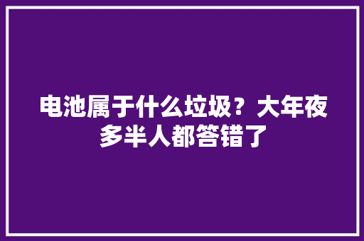 电池属于什么垃圾？大年夜多半人都答错了 电池属于什么垃圾？大年夜多半人都答错了 智能家居