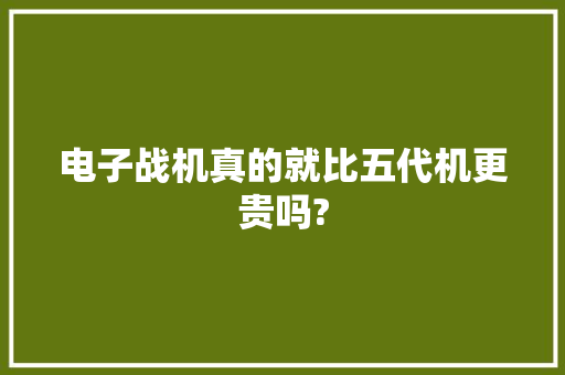 电子战机真的就比五代机更贵吗?