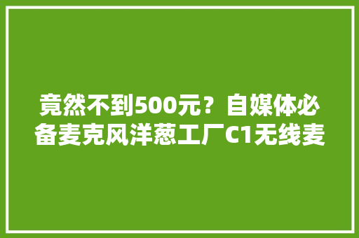 竟然不到500元？自媒体必备麦克风洋葱工厂C1无线麦克风体验 竟然不到500元？自媒体必备麦克风洋葱工厂C1无线麦克风体验 智能家居