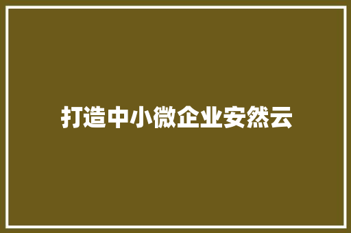 打造中小微企业安然云 打造中小微企业安然云 智能科技