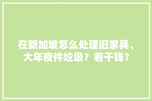 在新加坡怎么处理旧家具、大年夜件垃圾？若干钱？ 在新加坡怎么处理旧家具、大年夜件垃圾？若干钱？ 智能科技