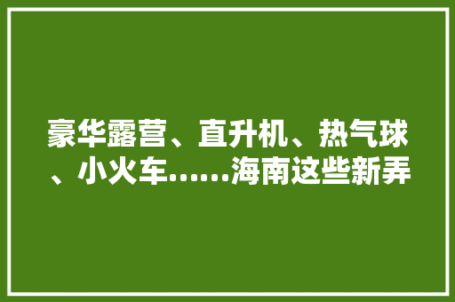 豪华露营、直升机、热气球、小火车……海南这些新弄法等你解锁 豪华露营、直升机、热气球、小火车……海南这些新弄法等你解锁 智能家居