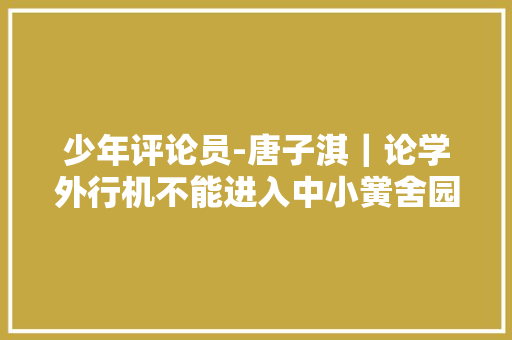 少年评论员-唐子淇｜论学外行机不能进入中小黉舍园 少年评论员-唐子淇｜论学外行机不能进入中小黉舍园 智能家居